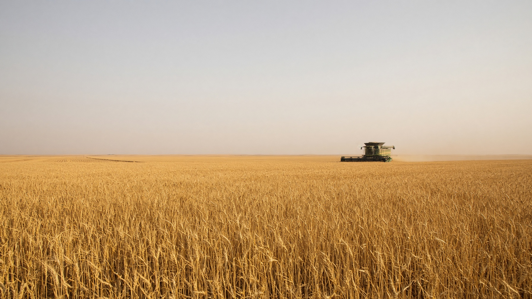 American wheat field at harvest with a combine in the distance